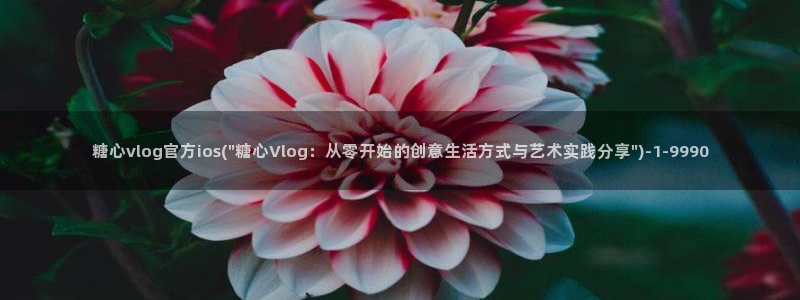 糖心vlog 视频