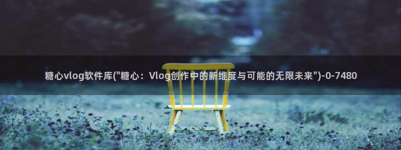 糖心vlog颜值