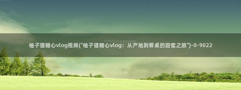 vlog糖心观看