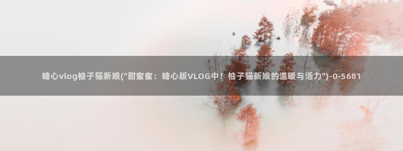 糖心vlog女模特