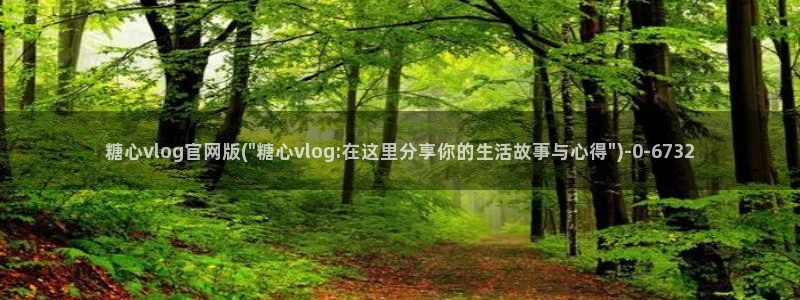 糖心vlogcom