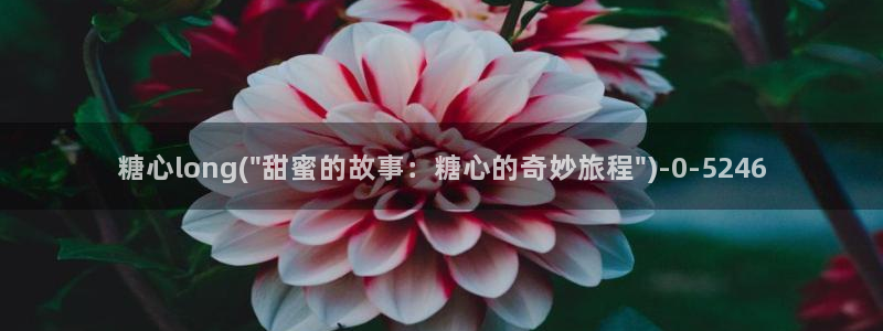 心糖vlog视频在线观看