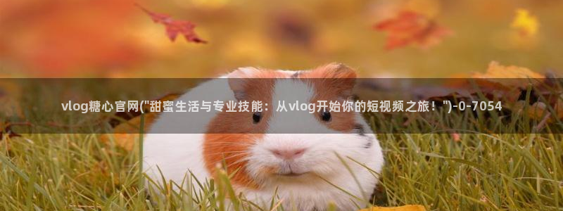 糖心v logo