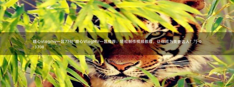 心糖vlog在线免费播放