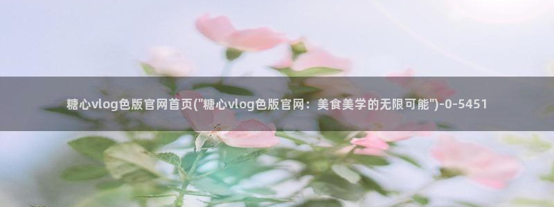 vlog糖心网站