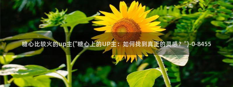 糖心官方vlog