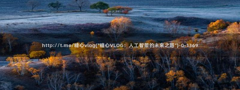 糖心vlog在线观看
