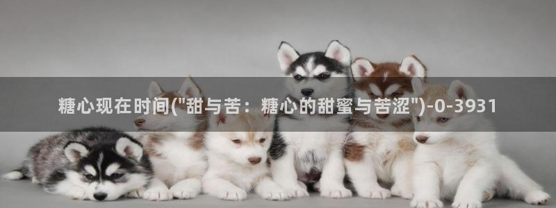 糖心vlog破解免费