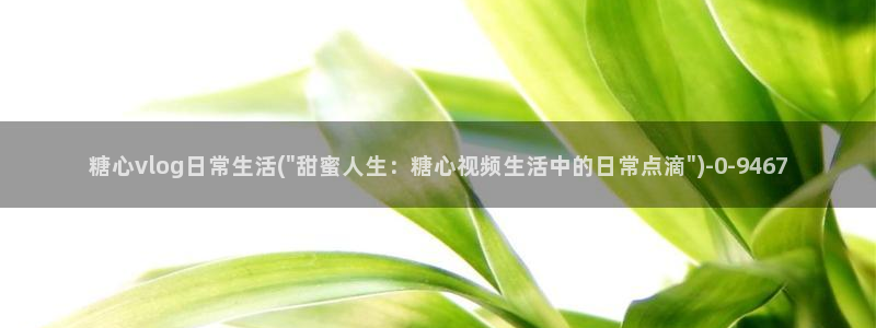 糖心vlog一区